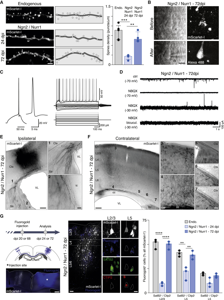 Figure 3