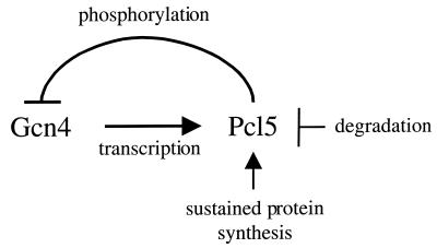 FIG. 9.