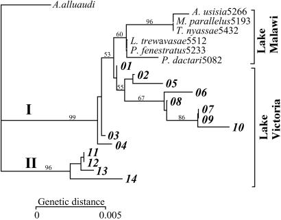 Fig 4.