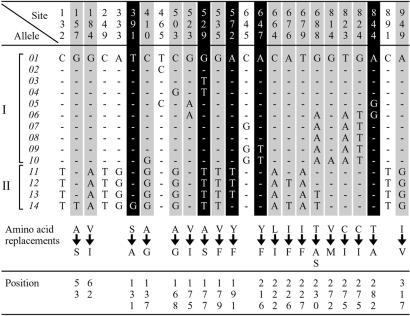 Fig 3.