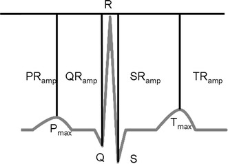 Fig. 6