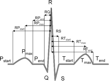 Fig. 5