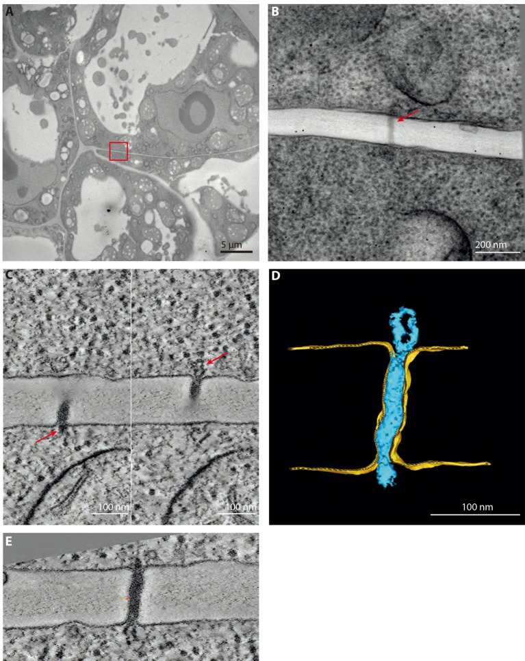 Figure 6.