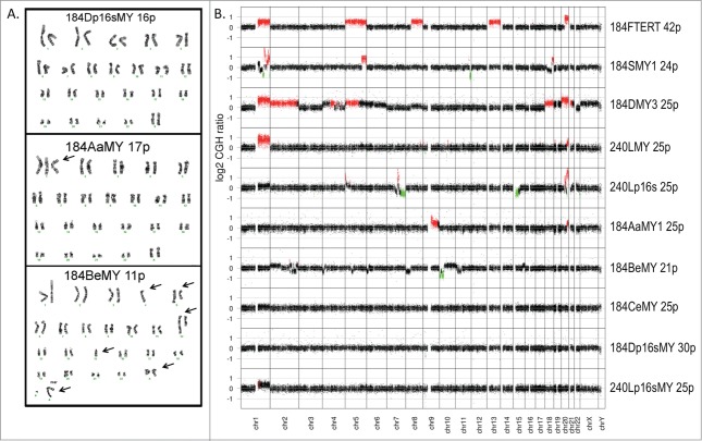 Figure 3.