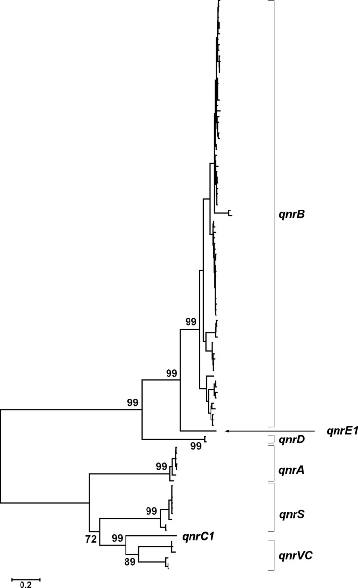 FIG 2