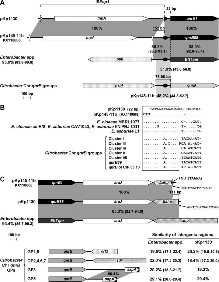 FIG 3