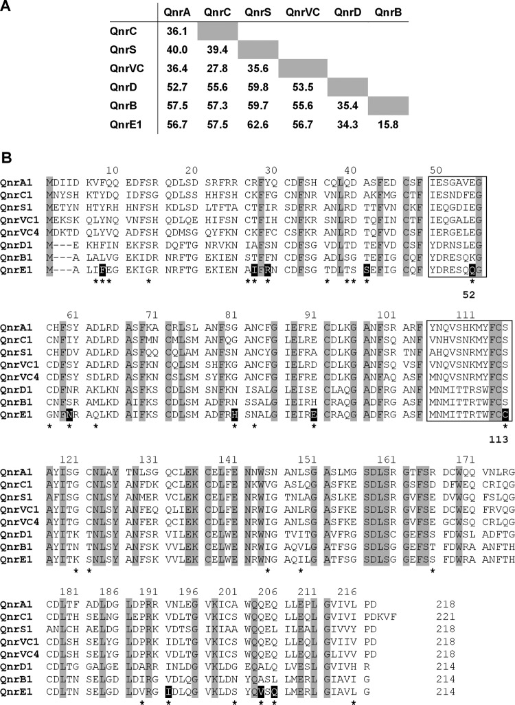 FIG 1