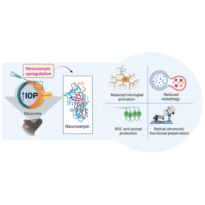 graphic file with name fx1.jpg