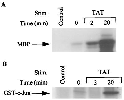 FIG. 7