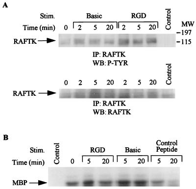 FIG. 8