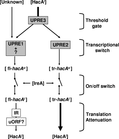 FIG. 6.