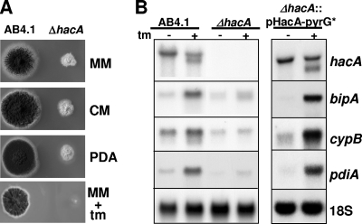 FIG. 1.