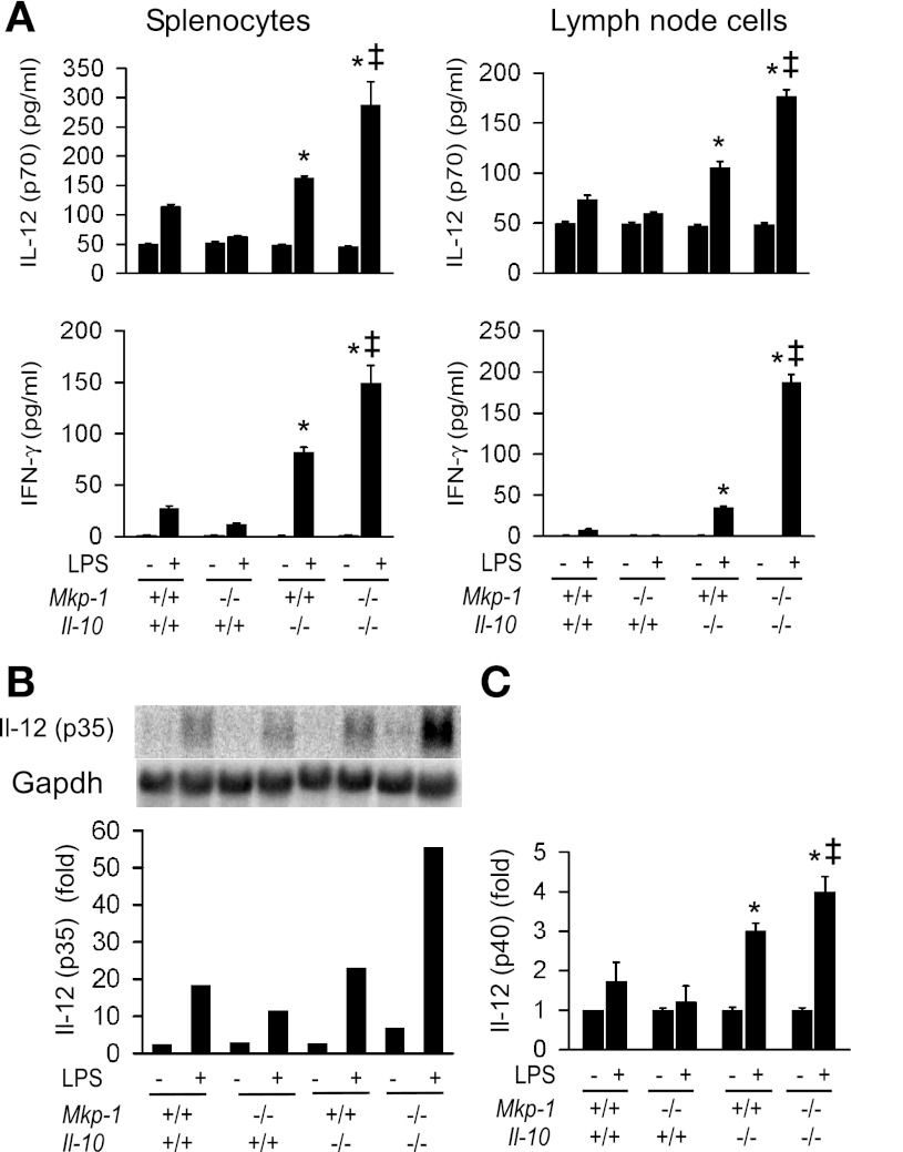 Fig. 9.