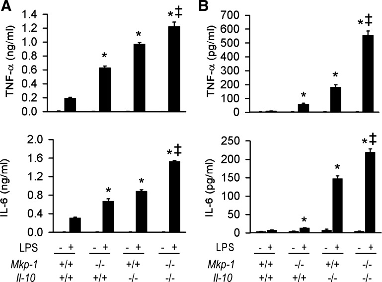 Fig. 8.