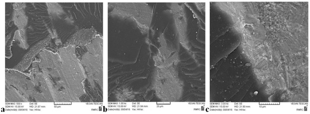 Figure4