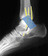 Fig. 8