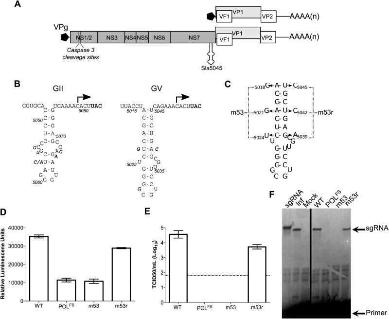 FIG 1