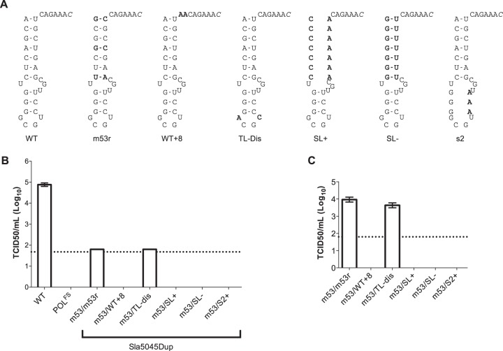 FIG 6