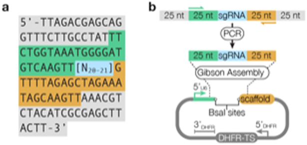 Figure 4.