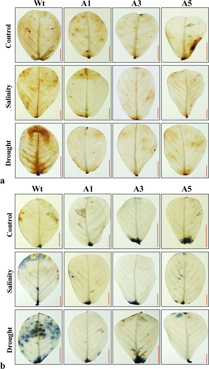 Fig 10