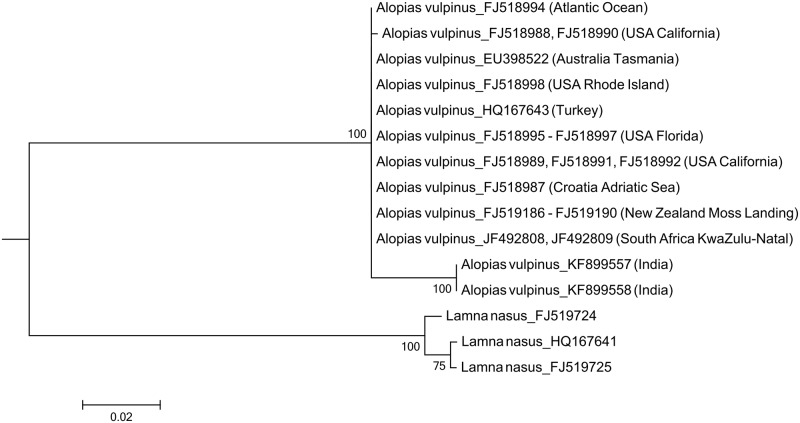 Fig 3