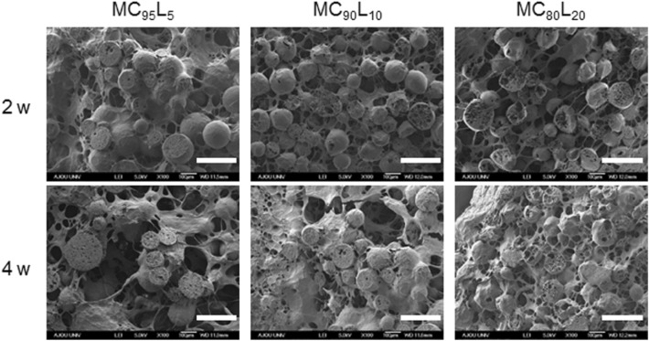 Fig. 7