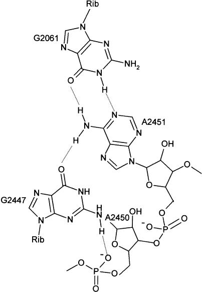 FIGURE 1.