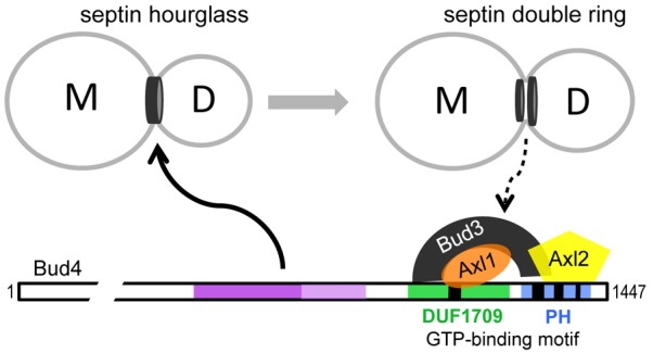 Fig. 8.