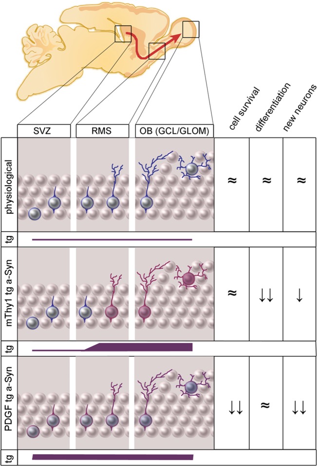 Fig 6