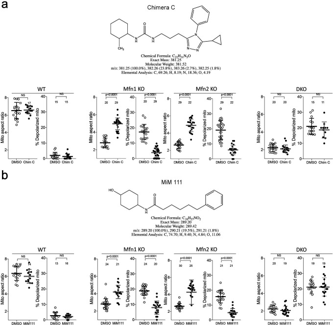 Figure 1—figure supplement 3.