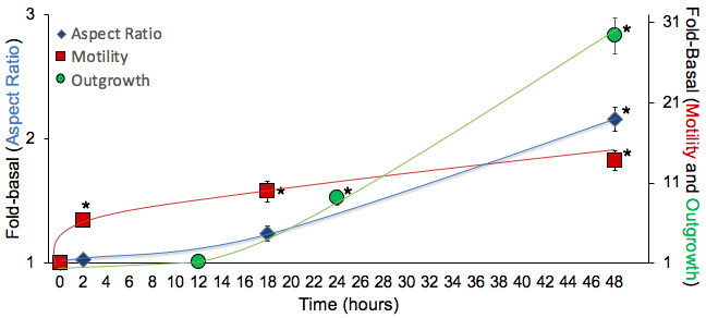 Figure 5—figure supplement 2.