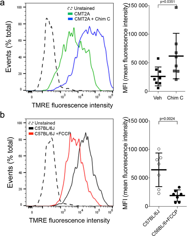 Figure 2—figure supplement 1.