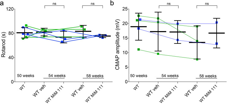 Figure 3—figure supplement 2.