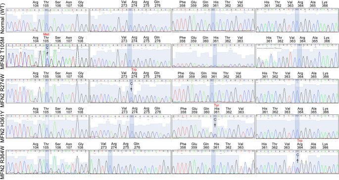 Figure 1—figure supplement 1.