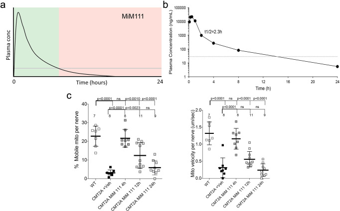 Figure 3—figure supplement 1.