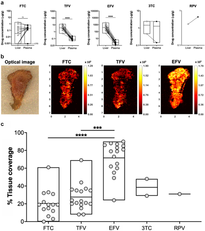 Fig. 3