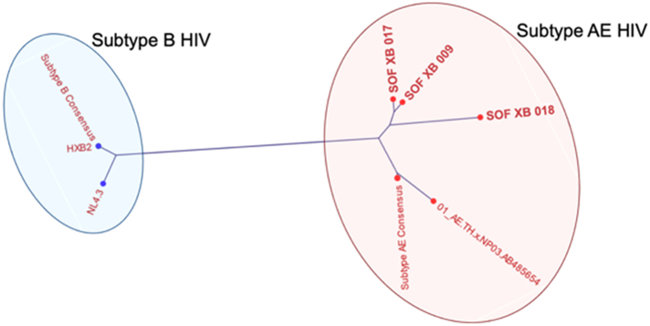 Supplementary Figure S3