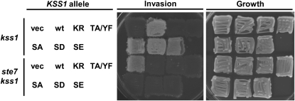 Figure 1.—