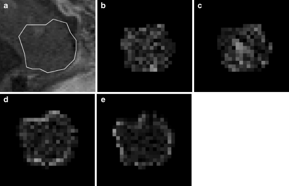 Fig. 5