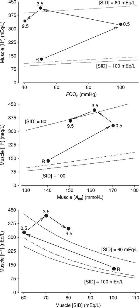 Figure 20