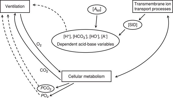 Figure 15