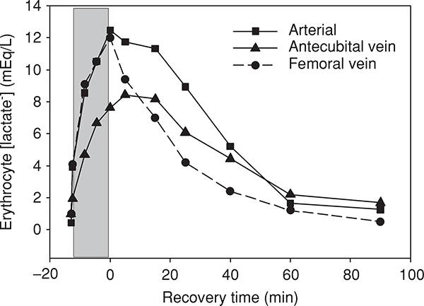 Figure 24