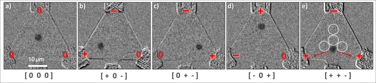 Fig. 2