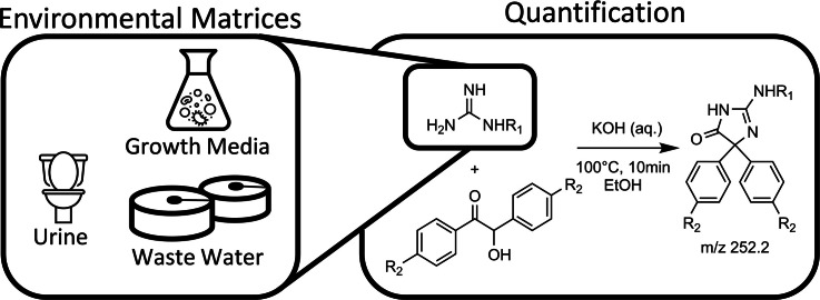 Image, graphical abstract