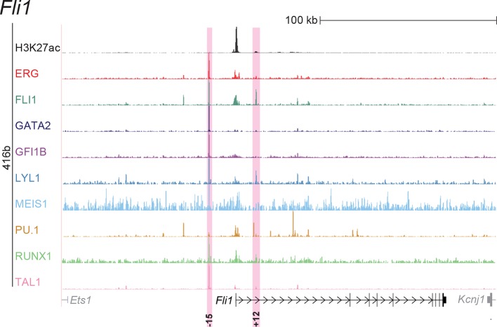 Figure 2—figure supplement 1.