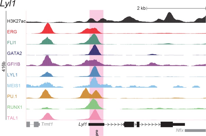 Figure 2—figure supplement 4.