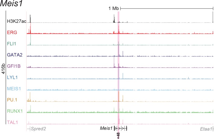 Figure 2—figure supplement 5.