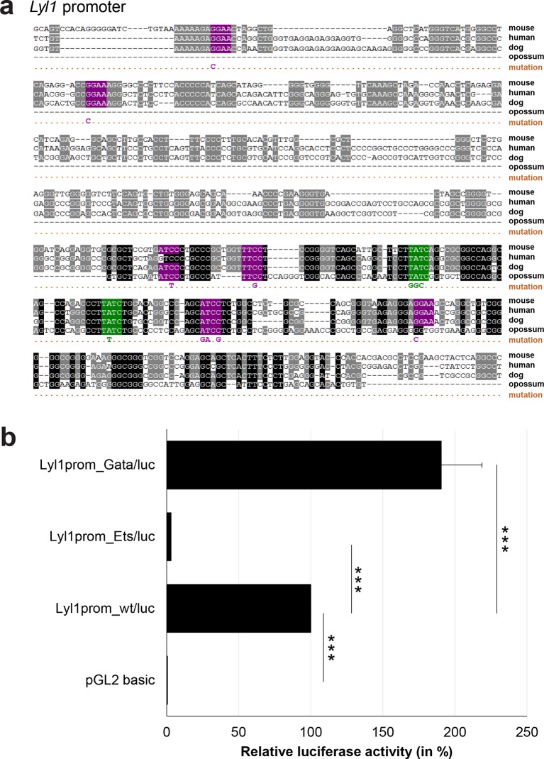 Figure 3—figure supplement 8.