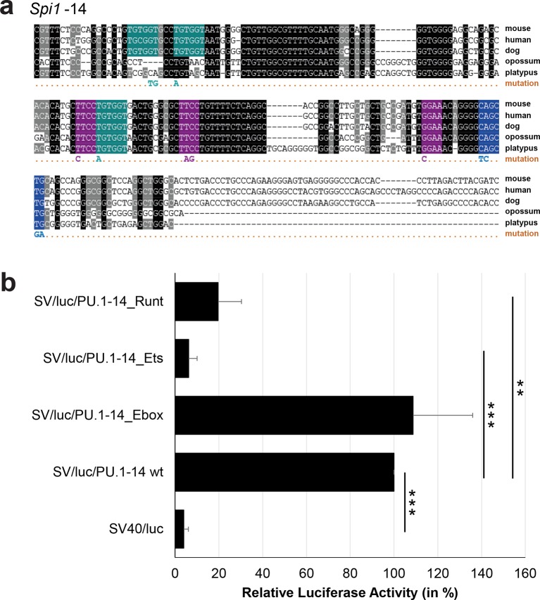 Figure 3—figure supplement 10.