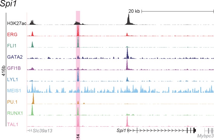 Figure 2—figure supplement 7.